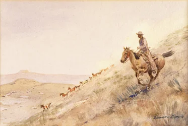 Rassemblement de chevaux