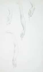 Études de bras et de mains (recto) ; Étude de torse féminin (verso)