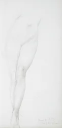 Étude des jambes féminines