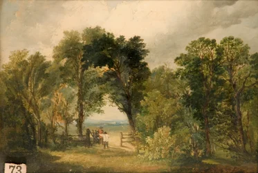 Une clairière boisée