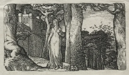 La Dame et les Corbeaux