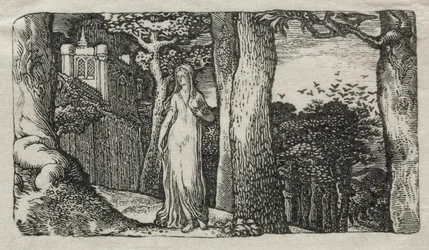 La Dame et les Corbeaux, 1829