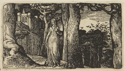 La dame aux corbeaux freux