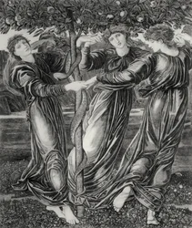 Le Jardin des Hespérides