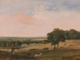 Chasse à la perdrix