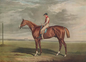 Vélocipède, Gagnant du St. Leger, 1828