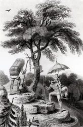 Vue du col de Quindio, illustration de 