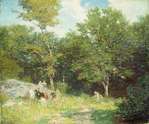 Cueillir des fleurs