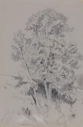 Burpham, le 4 octobre 1834