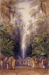 Sur la route de Galle, Ceylan