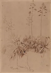 Reggio
