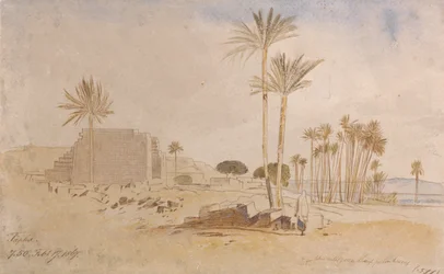 Tapha, 7 h 50, 17 février 1867