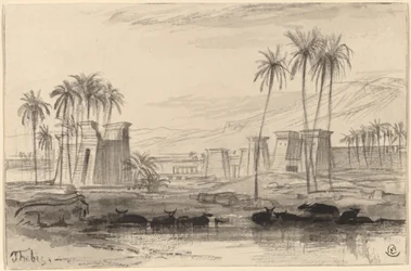Thèbes, 1884-1885