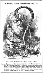 Charles Darwin, naturaliste anglais, 1881