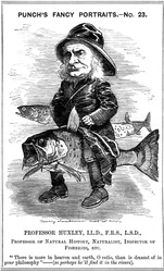 Thomas Henry Huxley, biologiste anglais, 1881