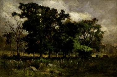 Paysage d