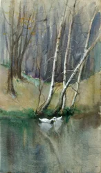 Scène de bois sans titre avec des bouleaux et des canards