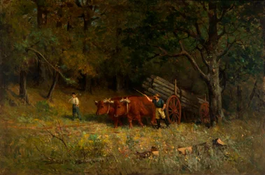 Garçon et homme avec des bœufs