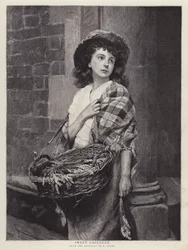 Douce Lavande
