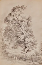 Paysage avec arbres