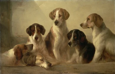 Chiens de chasse