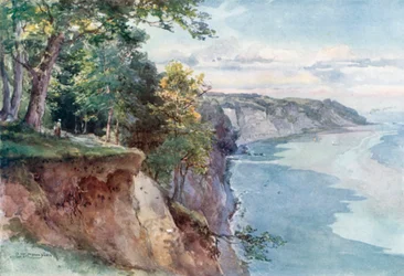 Forêt de Stubnitz - Île de Rugen (lithographie couleur)