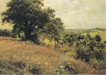Dans le pré