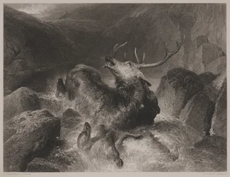 La mort du cerf, gravée par John Cousen (1804-80)