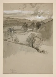 Paysage - Champs