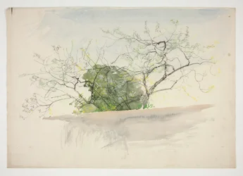 Paysage avec arbres