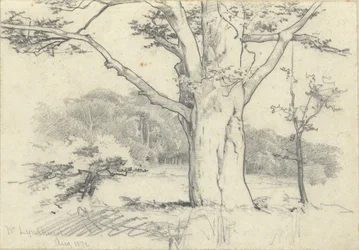 Près de Lyndhurst, août 1871