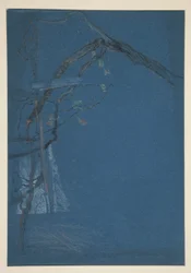 Étude de branches d