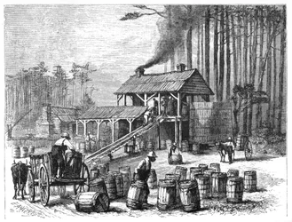 Distillerie de térébenthine, Caroline du Nord, 1870