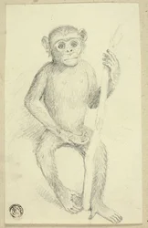 Orang-outan
