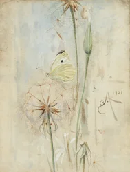 Papillon et chardon