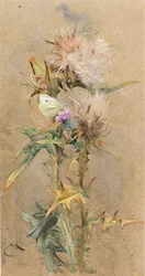 Chardons et papillon