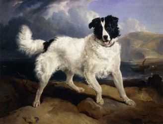 Portrait de Neptune, 1824