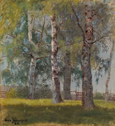 Bouleaux