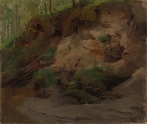Forêt avec un versant sablonneux