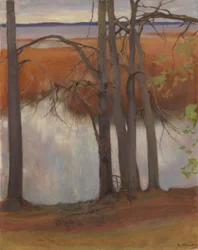 Rive du lac bordée de roseaux