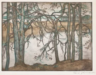 Rive de lac avec roseaux