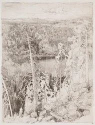 Paysage de Koli ; Paysage forestier de Räsävaara