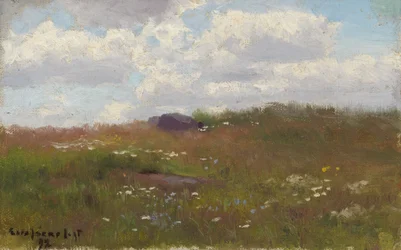 Prairie avec des fleurs d