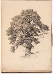 Pin, page du carnet de croquis de Järnefelt