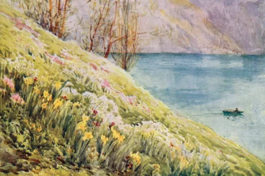Suisse