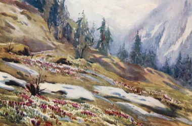 Suisse