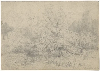 Paysage avec un arbre au centre