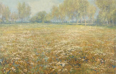 Prairie en fleurs