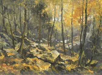 Mer de rochers