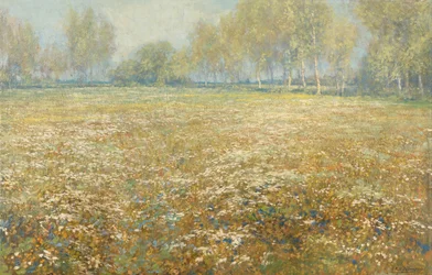 La prairie en fleurs